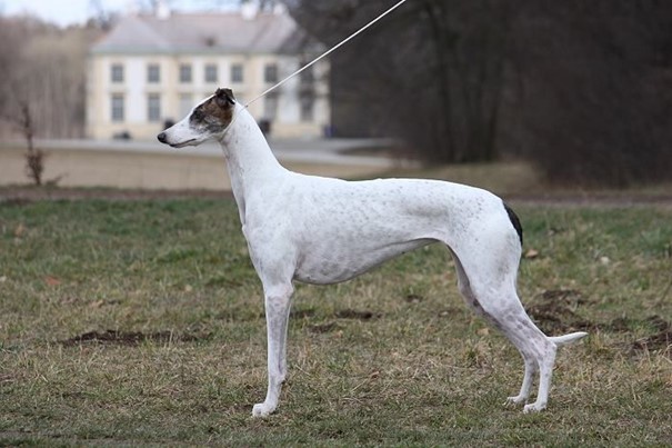 Bild von Drei Generationen Christcile´s