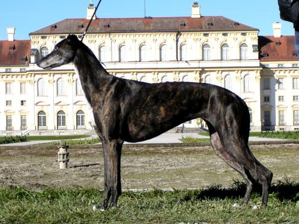 Bild von Drei Generationen Christcile´s